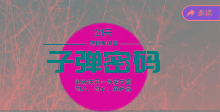 《子弹密码训练营》-用一句话文案勾人勾心卖产品，21天学到顶尖文案大师策略和技巧-情久项目网