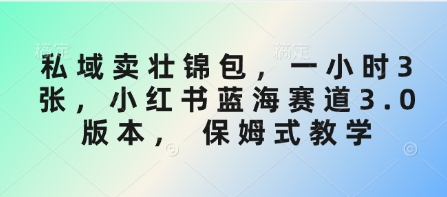 私域卖壮锦包，一小时3张，小红书蓝海赛道3.0版本， 保姆式教学-情久项目网