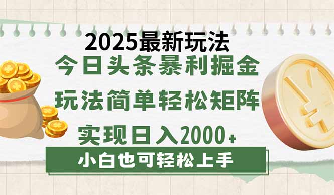 今日头条2025最新玩法，思路简单，复制粘贴，轻松实现矩阵日入2000+-情久项目网
