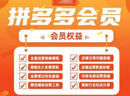 2025拼多多运营实战课，40节全流程教学，覆盖拼多多运营全链路-情久项目网