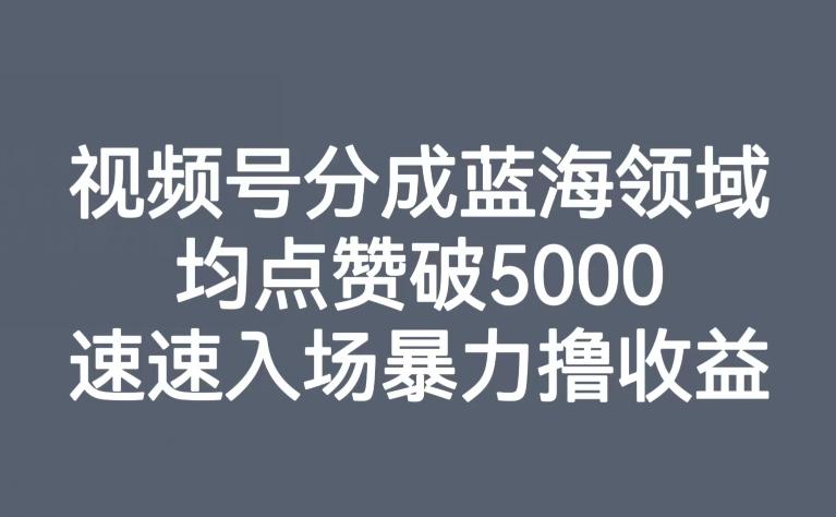 视频号分成蓝海领域，均点赞破5000，速速入场暴力撸收益-情久项目网