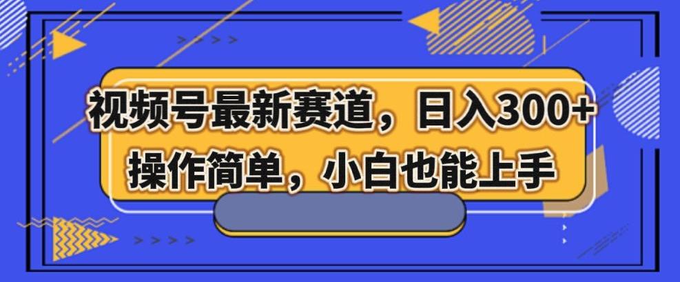 视频号最新赛道，日入300+，新手小白轻松掌握-情久项目网
