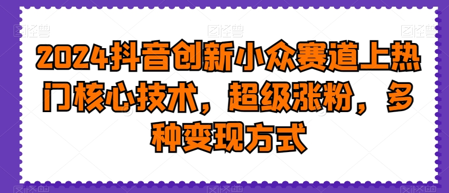 2024抖音创新小众赛道上热门核心技术，超级涨粉，多种变现方式【揭秘】-情久项目网
