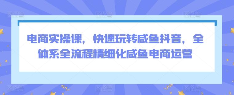 电商实操课，快速玩转咸鱼抖音，全体系全流程精细化咸鱼电商运营-情久项目网