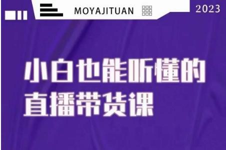 大威本威·能听懂的直播带货课，小白也能听懂，20节完整-情久项目网