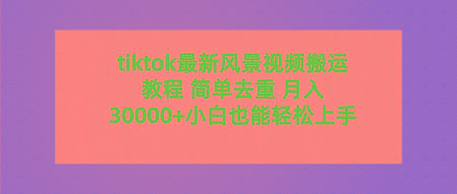 (9804期)tiktok最新风景视频搬运教程 简单去重 月入30000+附全套工具-情久项目网
