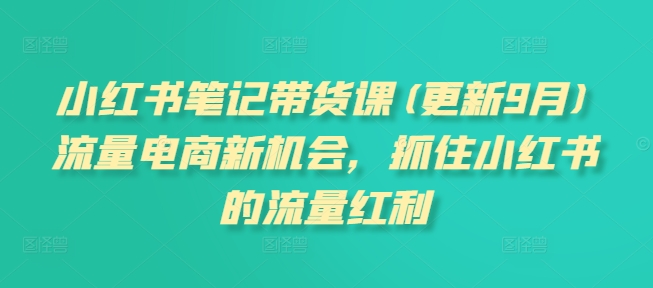 小红书笔记带货课(更新25年3月)流量电商新机会，抓住小红书的流量红利-情久项目网