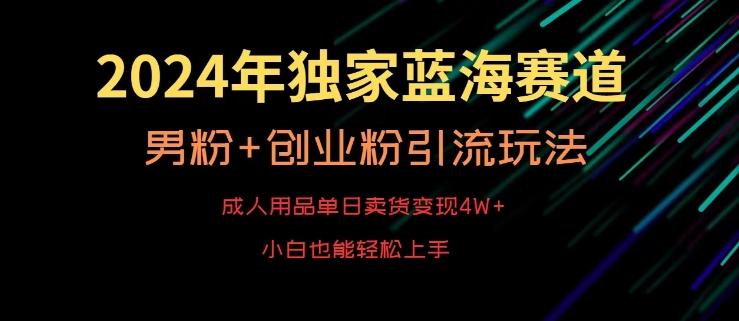 2024年独家蓝海赛道，成人用品单日卖货变现4W+，男粉+创业粉引流玩法，不愁搞不到流量【揭秘】-情久项目网
