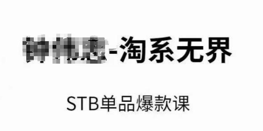 淘系无界STB单品爆款课(2024)，付费带动免费的核心逻辑，万相台无界关键词推广/精准人群的核心-情久项目网