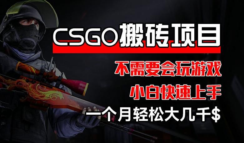 CSGO 装备搬砖项目，操作简单，不需要会玩游戏，小白也能快速上手，一个月轻松大几千【揭秘】-情久项目网
