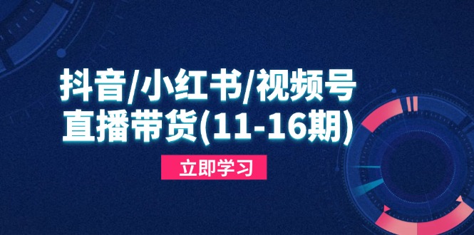 抖音/小红书/视频号/直播带货(11-16期-情久项目网