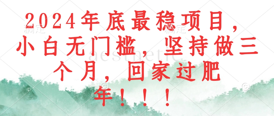 2024年底最稳项目，小白无门槛，坚持做三个月，回家过肥年！！！-情久项目网