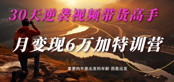30天逆袭视频带货高手，单月变现6万加特训营-麦子甜-情久项目网