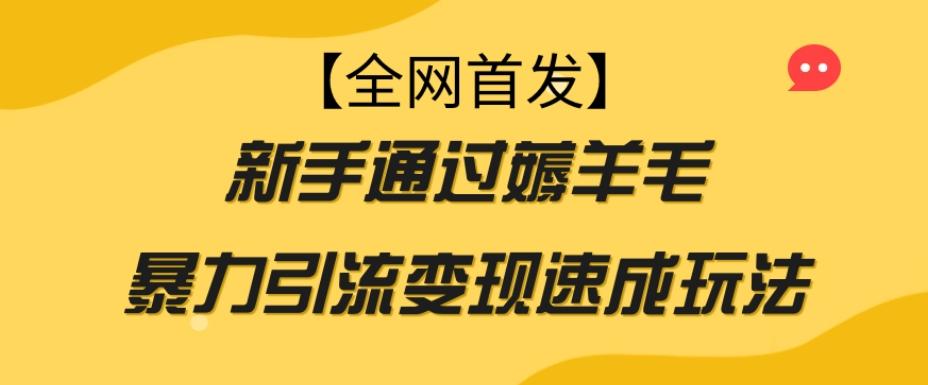 【全网首发】新手通过薅羊毛暴力引流变现速成玩法-情久项目网