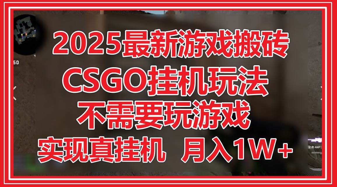 2025最新游戏搬砖，CSGO挂机，不需要玩游戏，实现真挂机，月入1W+-情久项目网