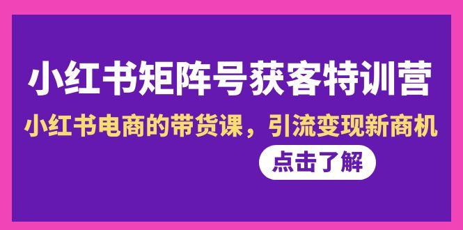 小红书-矩阵号获客特训营-第10期，小红书电商的带货课，引流变现新商机-情久项目网