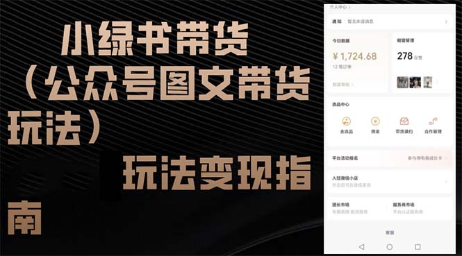 小绿书带货(公众号图文带货玩法-情久项目网