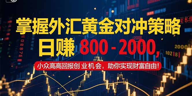 掌握外汇黄金对冲策略，日赚 800 – 2000，小众高回报创业机会，助你实…-情久项目网