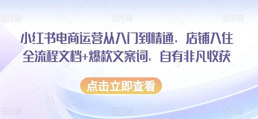 小红书电商运营从入门到精通，店铺入住全流程文档+爆款文案词，自有非凡收获-情久项目网