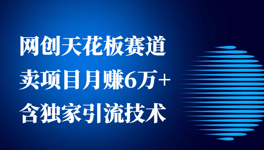 网创天花板赛道，卖项目月赚6万+，含独家引流技术(共26节课)-情久项目网