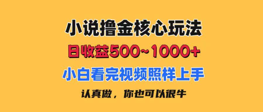小说撸金核心玩法，日收益500-1000+，小白看完照样上手，0成本有手就行-情久项目网