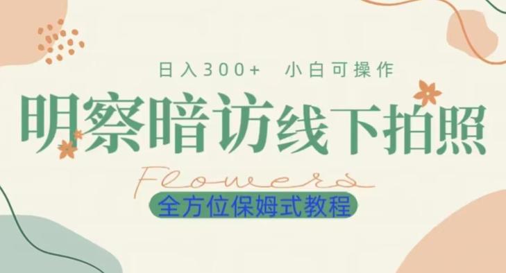 明拍暗拍项目0成本投入日入300+小白可操作保姆式全方位教程-情久项目网