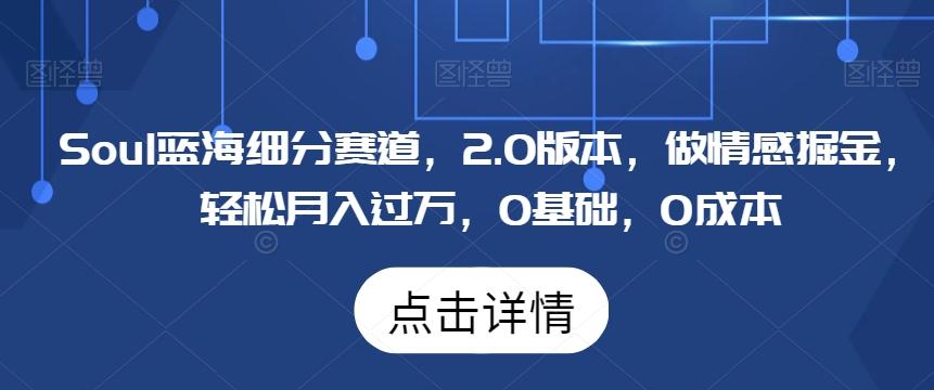 Soul蓝海细分赛道，2.0版本，做情感掘金，轻松月入过万，0基础，0成本-情久项目网