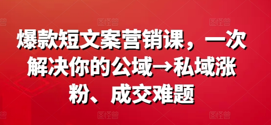 爆款短文案营销课，一次解决你的公域→私域涨粉、成交难题-情久项目网