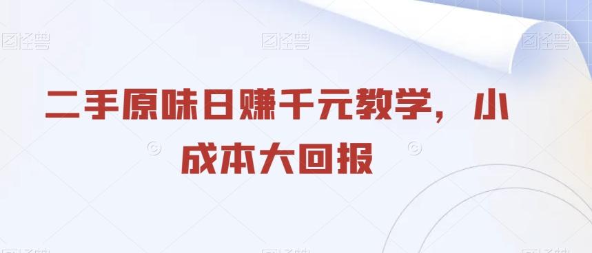 二手原味日赚千元教学，小成本大回报-情久项目网