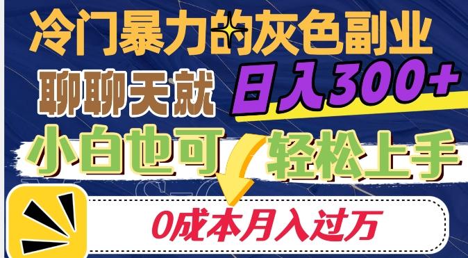 冷门暴利的副业项目，聊聊天就能日入300+，0成本月入过万【揭秘】-情久项目网