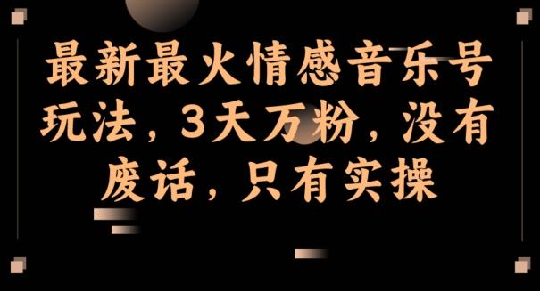 最新最火情感音乐号玩法，3天万粉，没有废话，只有实操-情久项目网