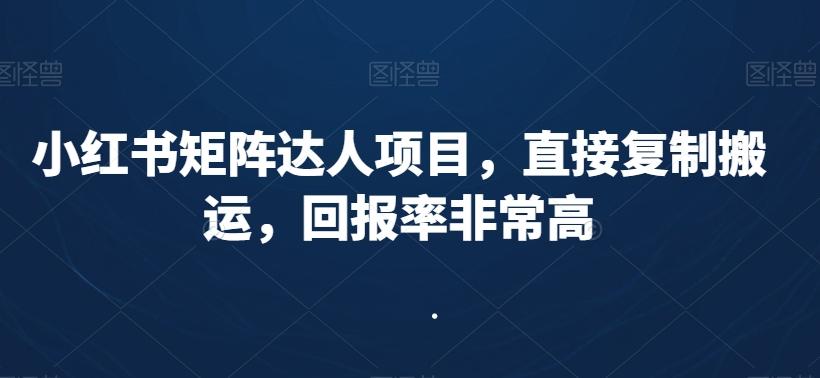 小红书矩阵达人项目，直接复制搬运，回报率非常高-情久项目网