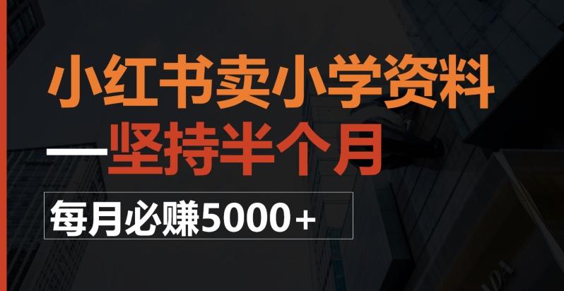 小红书卖小学资料，一坚持半个月，每月必赚5000+-情久项目网