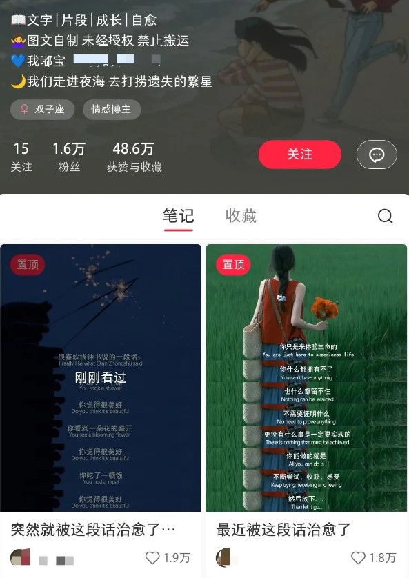 小红书治愈文案图文笔记，零门槛，一分钟制作轻松制作爆款作品月入万元-情久项目网