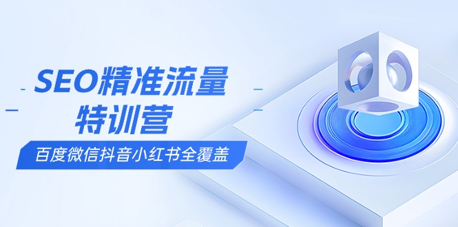 SEO精准流量特训营，百度微信抖音小红书全覆盖，带你搞懂搜索优化核心技巧-情久项目网