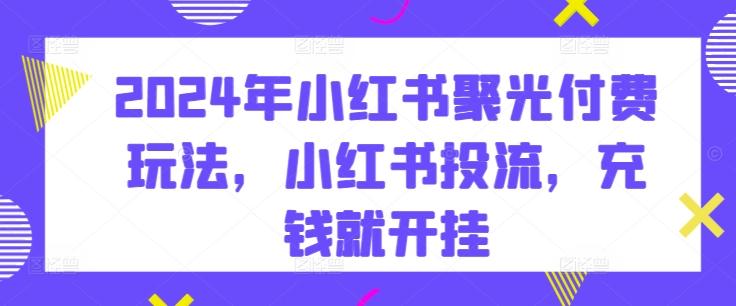 2024年小红书聚光付费玩法，小红书投流，充钱就开挂-情久项目网