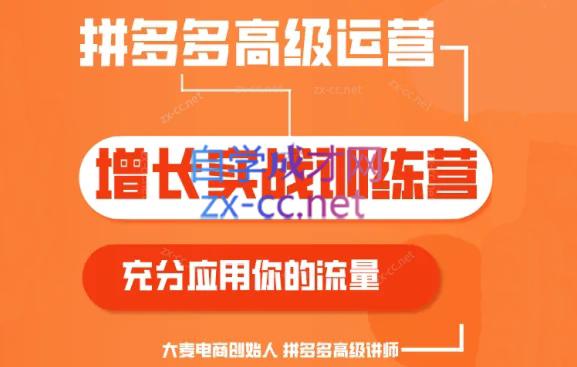 大麦老师·拼多多单品爆款打造课程(更新6月)-情久项目网