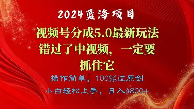 2024蓝海项目，视频号分成计划5.0最新玩法，错过了中视频，一定要抓住...-情久项目网
