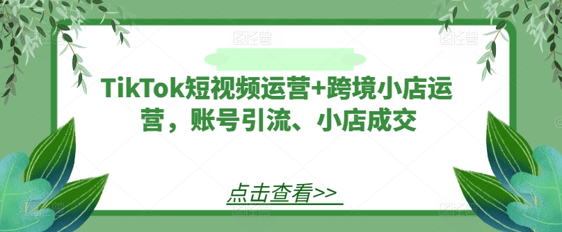 TikTok短视频运营+跨境小店运营，账号引流、小店成交-情久项目网