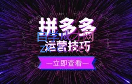 力辛电商·拼多多强付费店群玩法-情久项目网