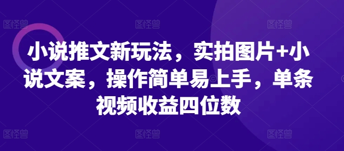 小说推文新玩法，实拍图片+小说文案，操作简单易上手，单条视频收益四位数-情久项目网