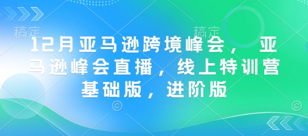 12月亚马逊跨境峰会， 亚马逊峰会直播，线上特训营基础版，进阶版-情久项目网