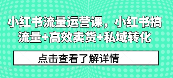 小红书流量运营课，小红书搞流量+高效卖货+私域转化-情久项目网