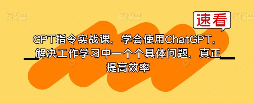 GPT指令实战课，学会使用ChatGPT，解决工作学习中一个个具体问题，真正提高效率-情久项目网