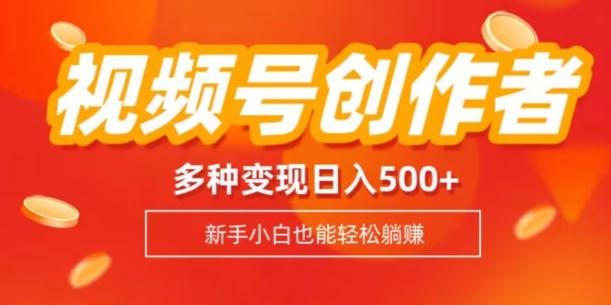 视频号创作者计划，多种变现方式，日入500+【内附1080g视频素材】-情久项目网