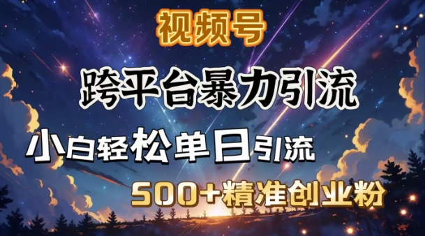 跨平台暴力引流，私域完美闭环，日引500+精准创业粉-情久项目网
