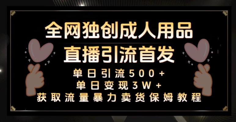 全网独创真人主播+无人直播单日引流500+，橙人用品暴力卖货单日变现3W+保姆似教学2.0【揭秘】-情久项目网