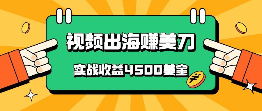 国内爆款视频出海赚美刀，实战收益4500美金，批量无脑搬运，无需经验直接上手-情久项目网