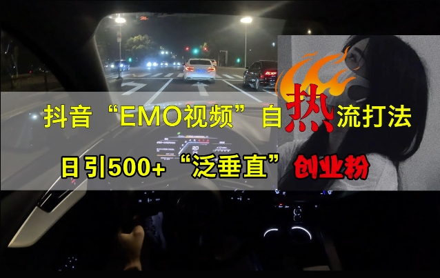 抖音EMO视频自热打法，日引500+“泛垂直”创业粉-情久项目网