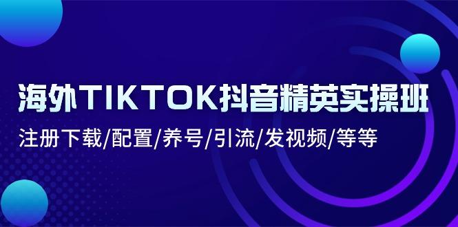 海外TIKTOK抖音精英实操班：注册下载/配置/养号/引流/发视频/等等-情久项目网